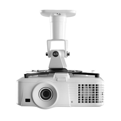 One for All supporto univers.per proiettori WM 5320