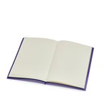 Dickie Wednesday Tagebuch mit magischen Stift        2094520