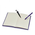 Dickie Wednesday Tagebuch mit magischen Stift        2094520