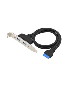 Conceptronic EMRICK11B 19-Pin Dual USB-Erweitung