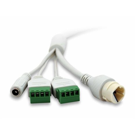 LevelOne FCS-3402 GEMINI Feste-Dom-IP-Netzwerk-Kamera 2MP