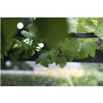 LBM 10m Smart Outdoor catena luminosa - 50 x Globe 3cm