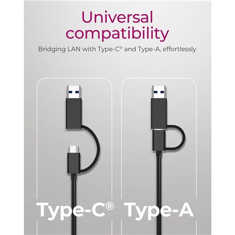 Raidsonic ICY BOX IB-LAN301-C3 USB Type-C / Type-A zu LAN