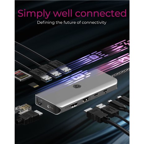 Raidsonic IB-DK4061-CPD Notebook Dockingstation