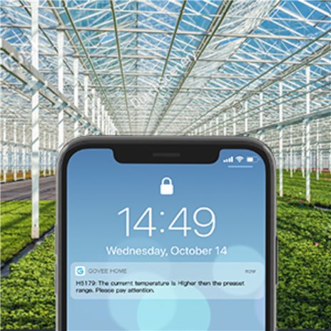 Govee - WiFi termometro igro- metro