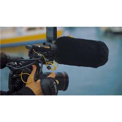 Deity W01 Deluxe antivento S-Mic 2 / 3