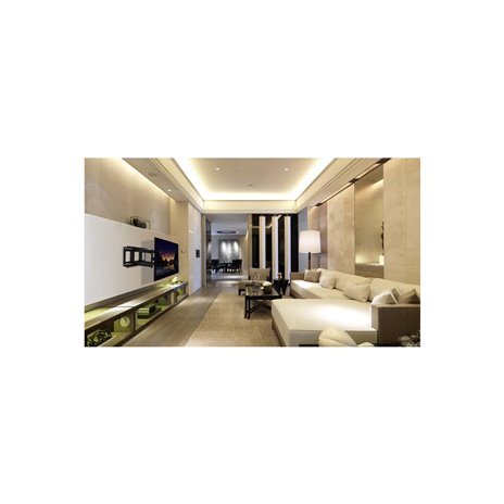 Reflecta PLEXO 100-9060T 23158