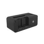 RaidSonic ICY BOX IB-2924MSCL-C31