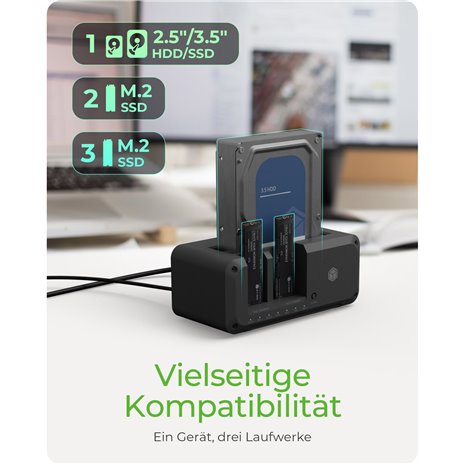 RaidSonic ICY BOX IB-2924MSCL-C31