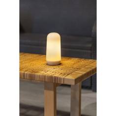 New Garden  Candy Rechargeable battery 2