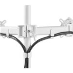 One for All supporto monitor Smart Dual bianco DM 2220