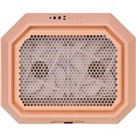 The Tower 300 Peach Fuzz