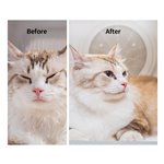 PETKIT AIRSALON Max Smart Pet Dryer (PD10)