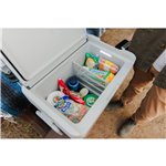 IGLOO ICF 40 borsa frigo compress. 39 litri