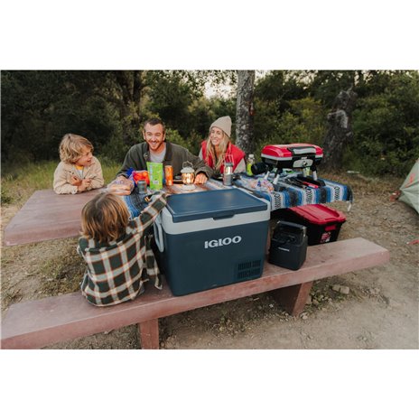 IGLOO ICF 40 borsa frigo compress. 39 litri