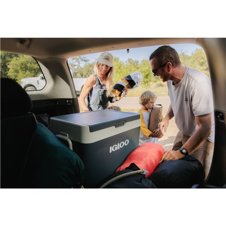 IGLOO ICF 40 borsa frigo compress. 39 litri