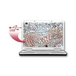 Bresser Biolux Microscope Set CEA 40x-1024x USB