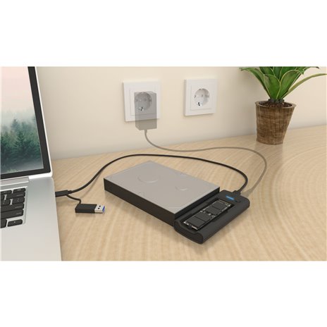 RaidSonic IB-180MS-C31 DockingStation M.2 NVMe&SATA SSD