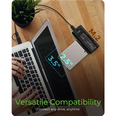 RaidSonic IB-180MS-C31 DockingStation M.2 NVMe&SATA SSD