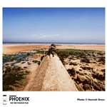 Harman Phoenix Colour 200 120
