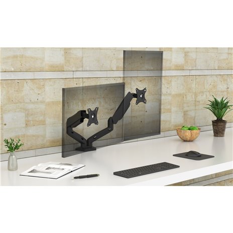 Raidsonic IB-MS204-T braccio monitor per due monitor