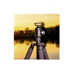 mantona Fortress 34 Testa sfera (S1-3410AF)