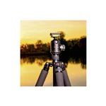 mantona Fortress 40 Testa sfera (S1-4015AF)