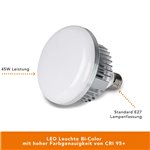 Walimex pro LED 45W Octagon Ø65cm Bi color