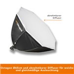Walimex pro LED 60W Octagon Ø65cm Bi color