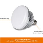 Walimex pro LED 60W Octagon Ø65cm Bi color