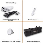 Walimex pro LED 60W Octagon Ø65cm Bi color