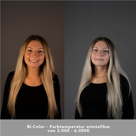 Walimex pro LED 60W Octagon Ø65cm Bi color Set 2