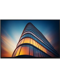 Dell P2425HEWO