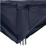 Buteo telo da pavimento Falco