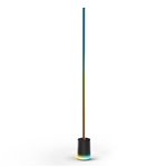 Govee Floor Lamp Matter ready