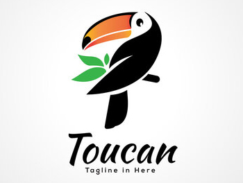 Toucan